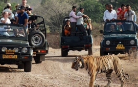 Ranthambhore-Tour